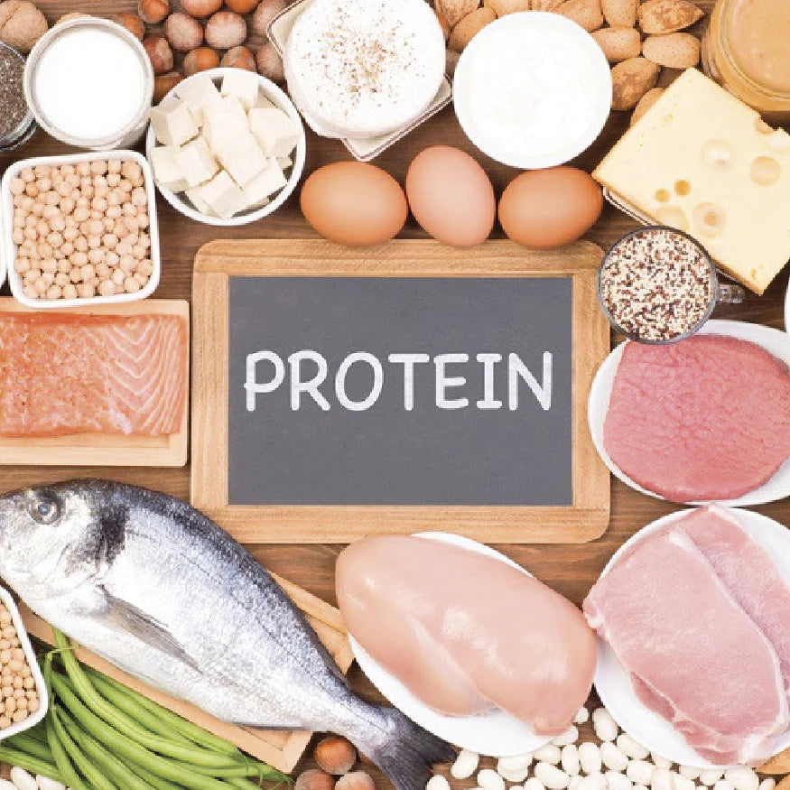 What’s All the Fuss About Protein